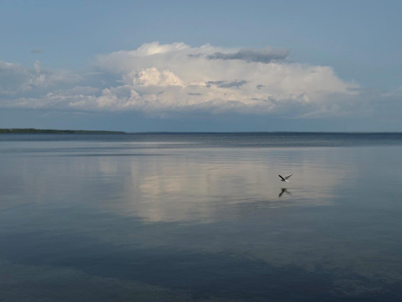 IMG_0271.jpg IMG_0271.jpg